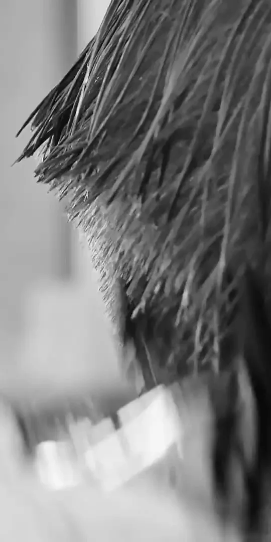 Barber przy pracy w jednym z salonów Warsztatu Fryzur Męskich
